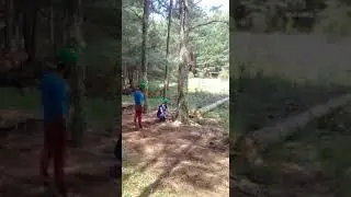 Este Motorneiro &eacute; muito bom