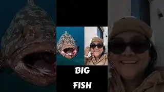Big fish eating small fish
