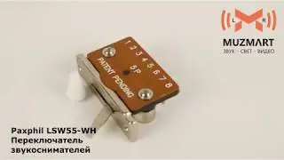 Paxphil LSW55 WH Переключатель звукоснимателей