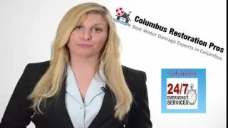West Jefferson OH Mold Removal and Mold Remediation Restoration Experts