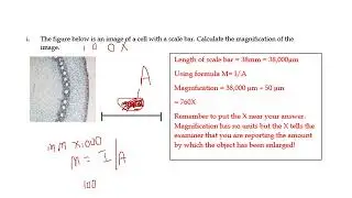 Chapter 1 solutions