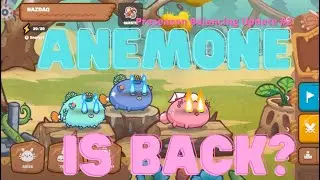 Buray Axie - Double Anemone Harebird vs ProNub's RecklessPK - Double Aqua Plant