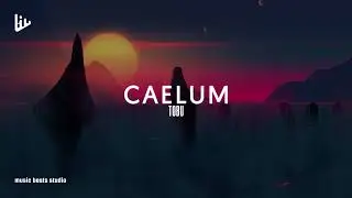 Caelum - Tobu [No Copyright Sounds]