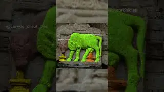 The 2-in-1 Nandi  carving #ancient #history #ancientcarvings #ancientheritage #illusion
