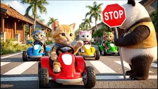 Mama cat lets her kitten ride in a luxury wheelbarrow with friends, and the journey that follows ...