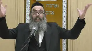 הרב יחיאל קסל | הספד וסיפורים על מרן שר התורה הרב חיים קנייבסקי זצוק