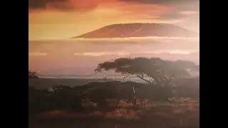 Kilimanjaro (A Documented Trek)