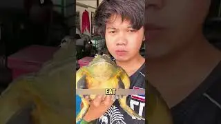 This Frog Eats Mice and Snakes