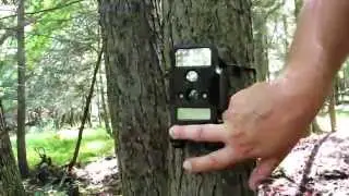 Archery Stand and Game Camera Check