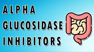Acarbose Mechanism and Side Effects