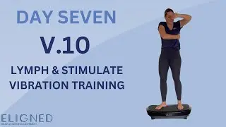 V.10 - DAY 7