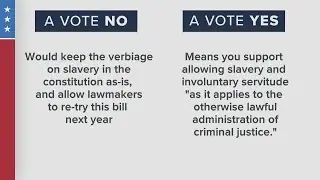 2022 Louisiana Midterms Guide: Amendment #7