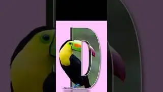 3D Letter Poster Design in Canva (Easy Tutorial!) #canva