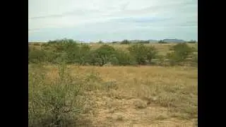 Tucson area Lots Arizona, Red Hawk at J6 Ranch Custom Home sites
