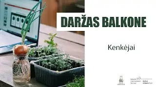 Daržas balkone vol. 10: Kenkėjai