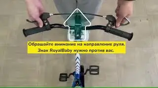 RoyalBaby Installation Tutorial