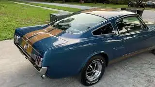 1966 Shelby GT350H Walkaround