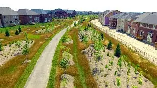 Ecoland Inc. - 2017 - Green Corridor - Caledon Ontario