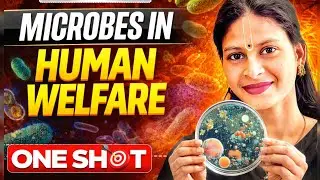 Microbes in Human Welfare Class 12 Biology | PYQs, Assertion Reason, Diagrams | CBSE 2025-26
