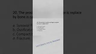 Physiotherapy MCQ | Question 20 |