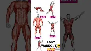 EASY HOME WORKOUT #fitness #workoutwednesday #abdominalmuscle #weightloss