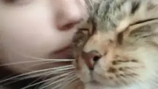 Every fk morning! *cat's angry face