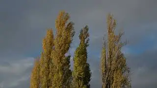 BMPCC 6K Blackmagic 6K Pro test footage video - BRAW grading using Davinci and Color Space Transform
