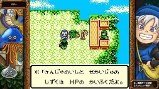 DQM テリーのワンダーランド実況プレイ54