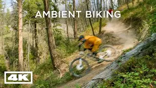 Mountain Biking in Williams Lake 🌲 | Relaxing Sounds of MTB