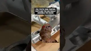 Чувствую себя отлично, чувак... пора собирать!