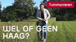 Wil je wel of geen haag in je tuin? Voor en nadelen | Tuinaanleg | Tuinmanieren