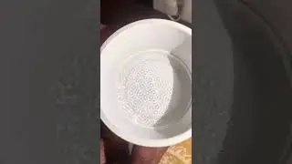 [CYMATICS] Thanksgiving 2023 - 🪷
