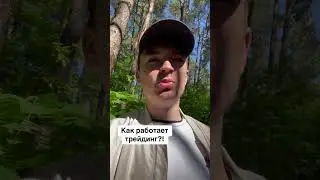 Как работает трейдинг? #трейдинг #инвестиции #криптовалюта #крипта #bitcoin #ethereum