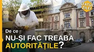 De ce nu si fac treaba autoritatile? Ce trebuie sa facem? - Sfatul Zilei