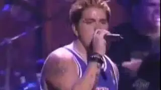 Primer 55 - Loose (Live)