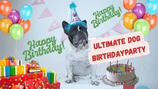 Happy Birthday Dog Ambience | Dog Birthday Party Ambience | Dog Themed Birthday Ambience | Cute Dog