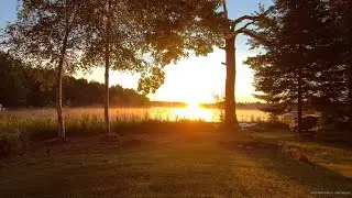 Relaxing Nature Sounds For Sleep | Binaural Bird Songs & Lake Sounds For Sleep | Beautiful Sunrise