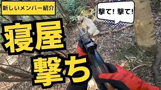 【猟犬見習いブッチャー覚醒】寝屋に立て篭もるイノシシを取り囲むシノブ＆ブッチャー！【単独狩猟での捕獲まであと少し】