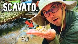 Ho trovato una Pepita D’ORO A VISTA! 🌟 Gold Rush: La febbre dell'oro [Ep.10 S.5]