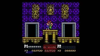 Double Dragon II: The Revenge (NES, Dendy)