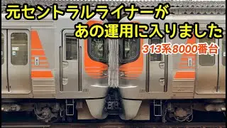 【元セントラルライナーがあの運用に入りました】1駅で終点の沼津始発三島行き