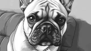 🎨портрет Томаса🐶(процесс)
