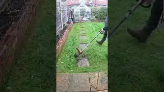 Secret steps #asmr #shorts #garden #motivation