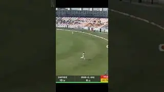 Huge from Abdullah Shafique! #PAKvAUS #shorts
