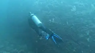 Islas Santa Catalina Scuba Dive 🇨🇷 | North Route | 18.5m | 35+ Minutes