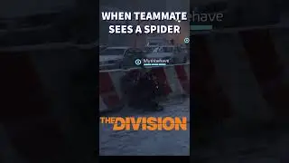 Must be an Australian spider