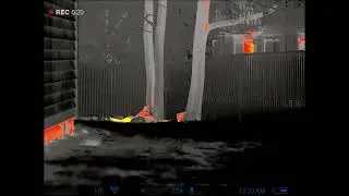 Finding a Lost Indoor Cat at Night with Thermal Imaging