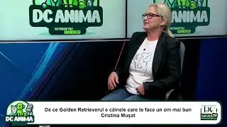 De ce Golden Retrieverul e cainele care te face un om mai bun - Cristina Musat