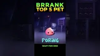 Top 5 Pet For Brrank 🤯||#shorts #brranked