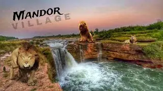 Mandor village  me khatra🫣🤯🦁